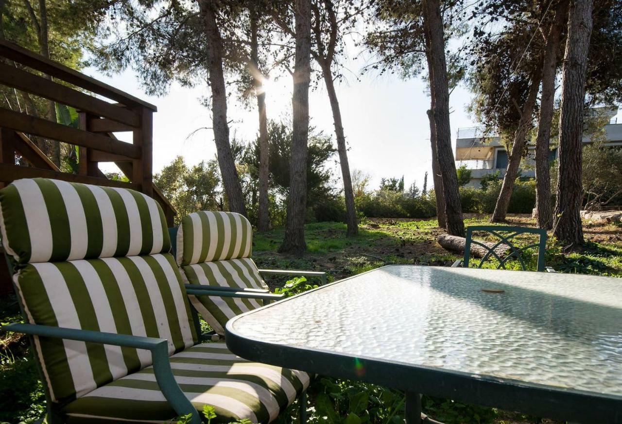 Lili'S Galilee House! Nature Views Terrace Kefar Weradim Eksteriør billede